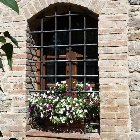 Paradiso Marsciano