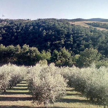 Paradiso