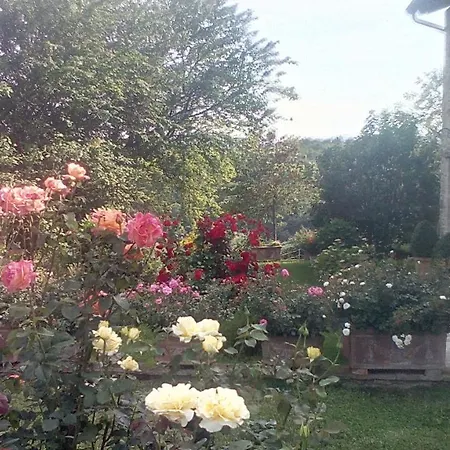 Paradiso Marsciano