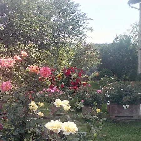 Paradiso Marsciano
