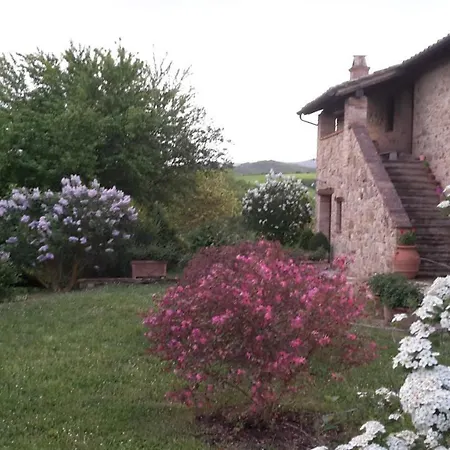 Paradiso Appartement *
