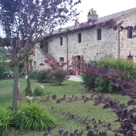 Paradiso * Marsciano