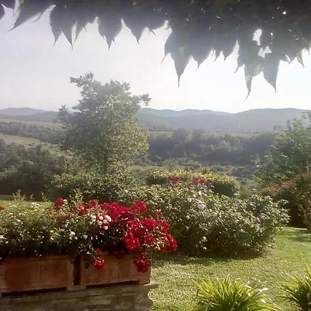 Appartement Paradiso *