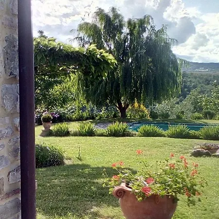 Paradiso Appartement *