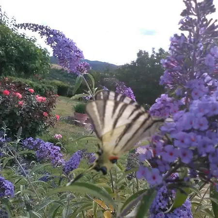 Paradiso Appartement Marsciano