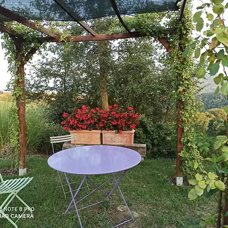 Paradiso * Marsciano
