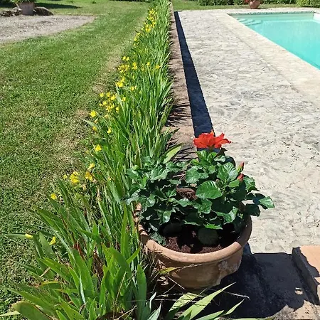 Paradiso Appartement Marsciano