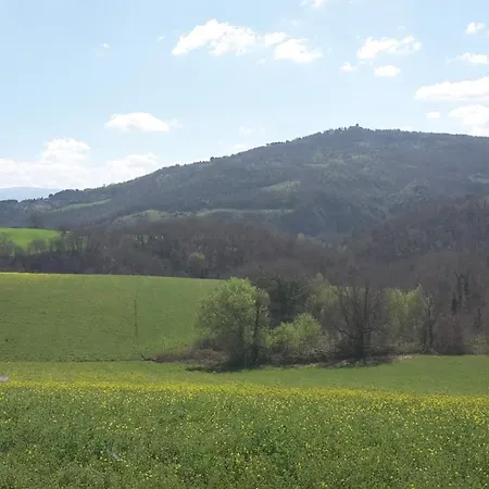 Paradiso