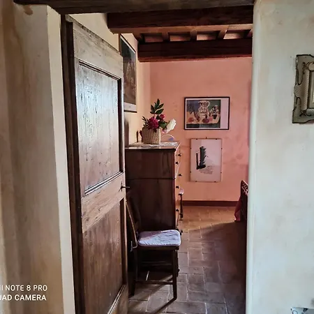 Paradiso * Marsciano