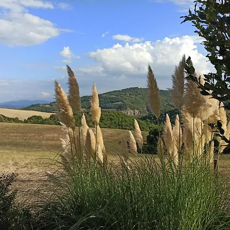 Appartement Paradiso